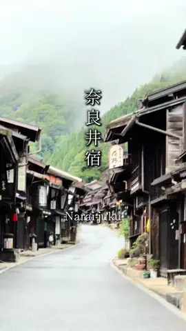アラフォー夫婦のお出かけ記録のTikTok投稿