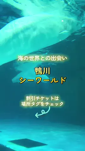 アラフォー夫婦のお出かけ記録のTikTok投稿
