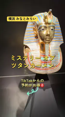 アラフォー夫婦のお出かけ記録のTikTok投稿