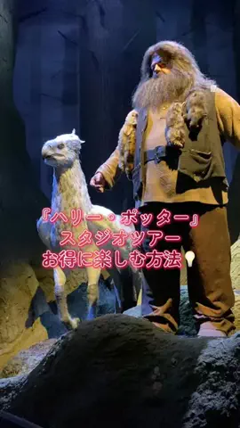 アラフォー夫婦のお出かけ記録のTikTok投稿