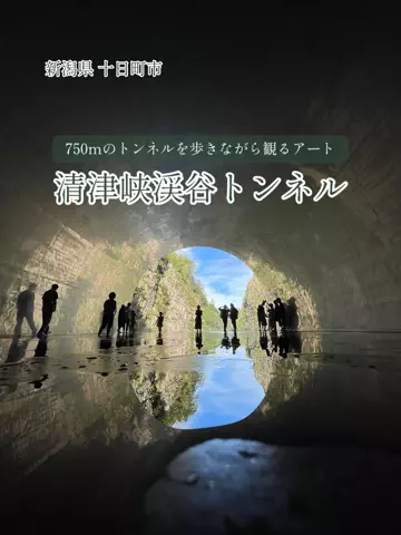 アラフォー夫婦のお出かけ記録のTikTok投稿