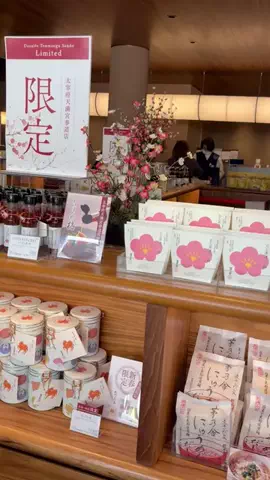 Fukuoka EDIT👩🏻‍💻のTikTok投稿