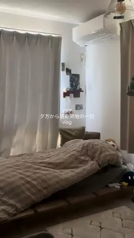 羊のTikTok投稿