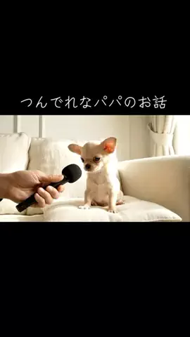 犬猫総合製薬株式会社のTikTok投稿