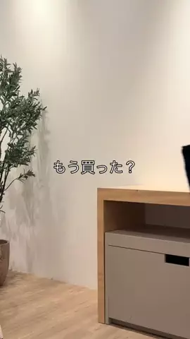 aiのTikTok投稿