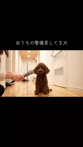 犬猫総合製薬株式会社のTikTok投稿