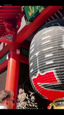 くれちゃん𖨆📛🦖のTikTok投稿