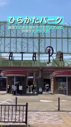 Emdem エムデムのTikTok投稿