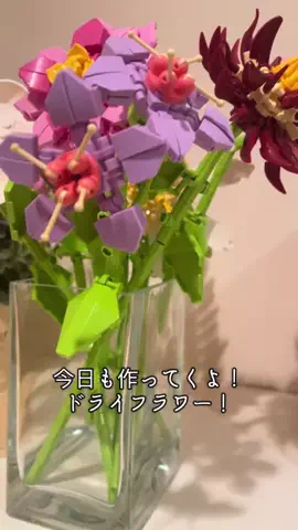ふぃな / FinaのTikTok投稿