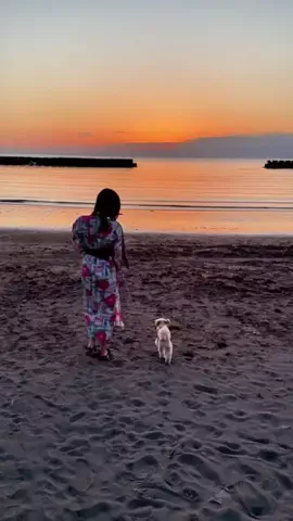 愛犬と行ける関東の宿のTikTok投稿