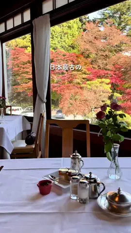 HOTEL PICKS｜ホテル・宿案内のTikTok投稿