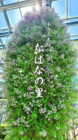 TABISUKI🚗旅情報のTikTok投稿