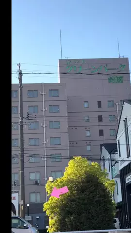 realsherillのTikTok投稿