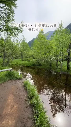 ラベちゃん🪻温泉旅♨️のTikTok投稿