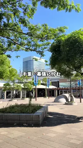 Sample2023のTikTok投稿