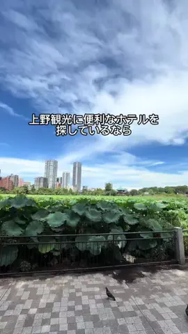 Sample2023のTikTok投稿