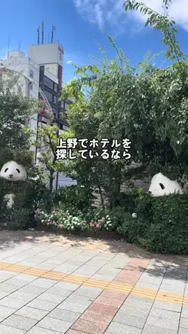 Sample2023のTikTok投稿