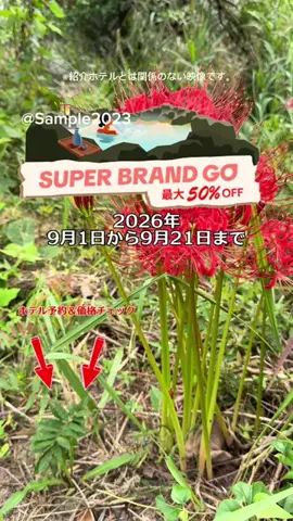 Sample2023のTikTok投稿