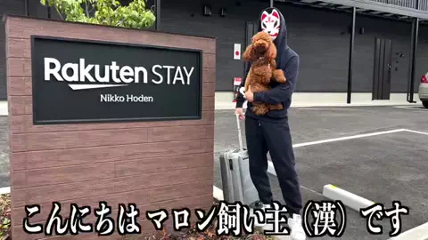 マロン（漢）のTikTok PR投稿：初めて犬と旅行したよ！#PR #楽天ステイ #RakutenSTAY #トイプ…