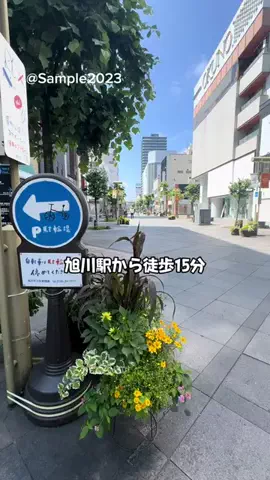 Sample2023のTikTok投稿