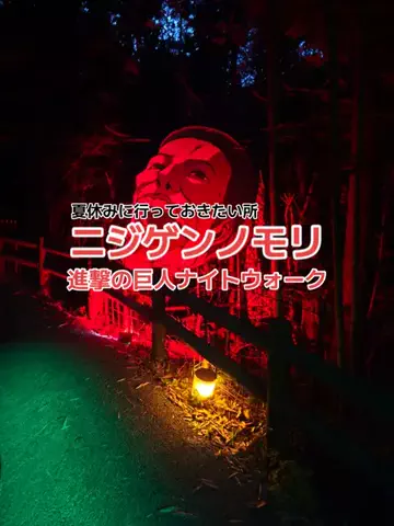 野良猫　イチくんとナナちゃんのTikTok投稿