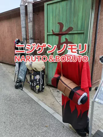 野良猫　イチくんとナナちゃんのTikTok投稿