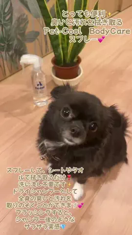 Ruu🐼17歳年の差婚夫婦の奮闘記✏️︎💕︎のTikTok投稿