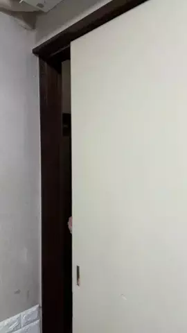 埼玉の伝説わにしのTikTok投稿