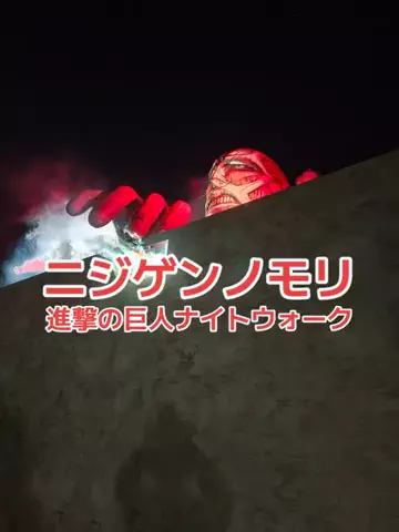 野良猫　イチくんとナナちゃんのTikTok投稿