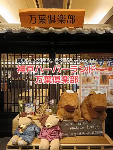 野良猫　イチくんとナナちゃんのTikTok投稿