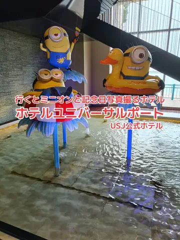 野良猫　イチくんとナナちゃんのTikTok投稿