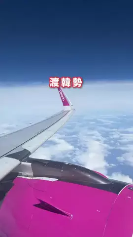 韓国コスパ旅@コスパ良くオシャレに韓国旅行🇰🇷のTikTok投稿