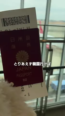 むくのTikTok投稿