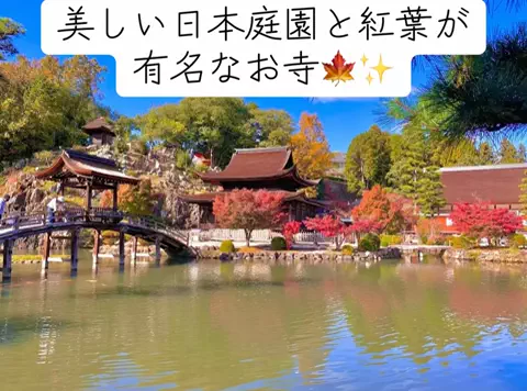 Nihongo AdventureのTikTok投稿