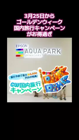 マッスル親子のTikTok投稿