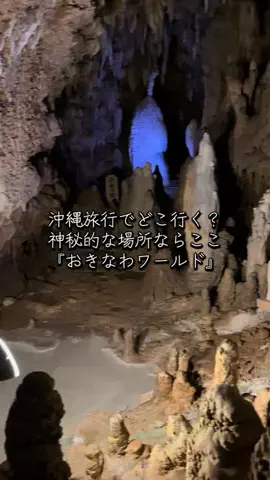 マッスル親子のTikTok投稿