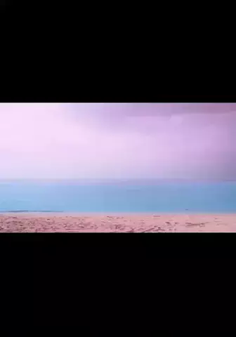 セイ主のTikTok投稿