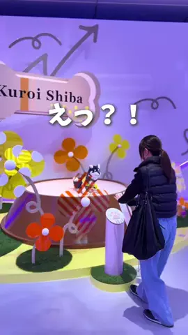 ゆうか | 都内からお出かけ情報発信所⭐️のTikTok投稿