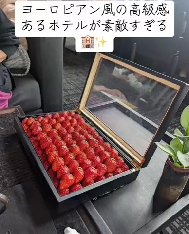 Nihongo AdventureのTikTok投稿