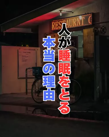 しょーたマンのTikTok投稿