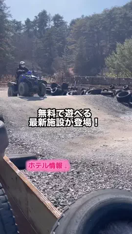 グルメちゃんの旅のTikTok投稿