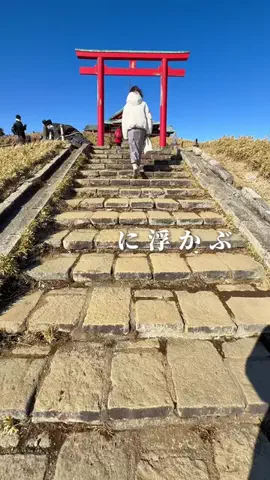 ゆうか | 都内からお出かけ情報発信所⭐️のTikTok投稿