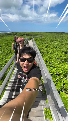 にーしゃ✎𓂃ほのぼの埼玉旅𓂃のTikTok投稿