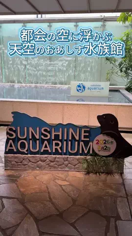 キンベル|格安旅行案内人のTikTok投稿