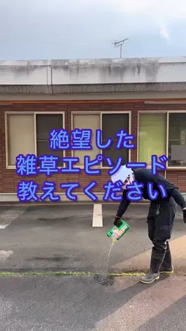 庭の方舟(はこぶね)のTikTok投稿