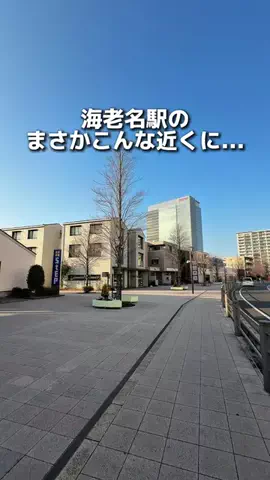 えびなびのTikTok投稿