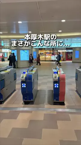 えびなびのTikTok投稿