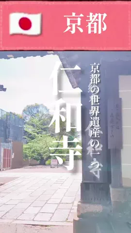 旅好き子さんのTikTok投稿