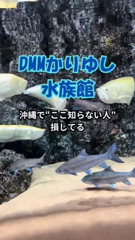 おっきー 🍍沖縄人のTikTok投稿