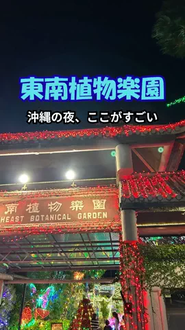 おっきー 🍍沖縄人のTikTok投稿